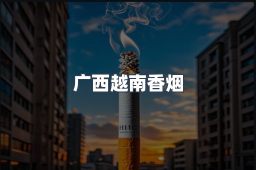 越南香烟系列
